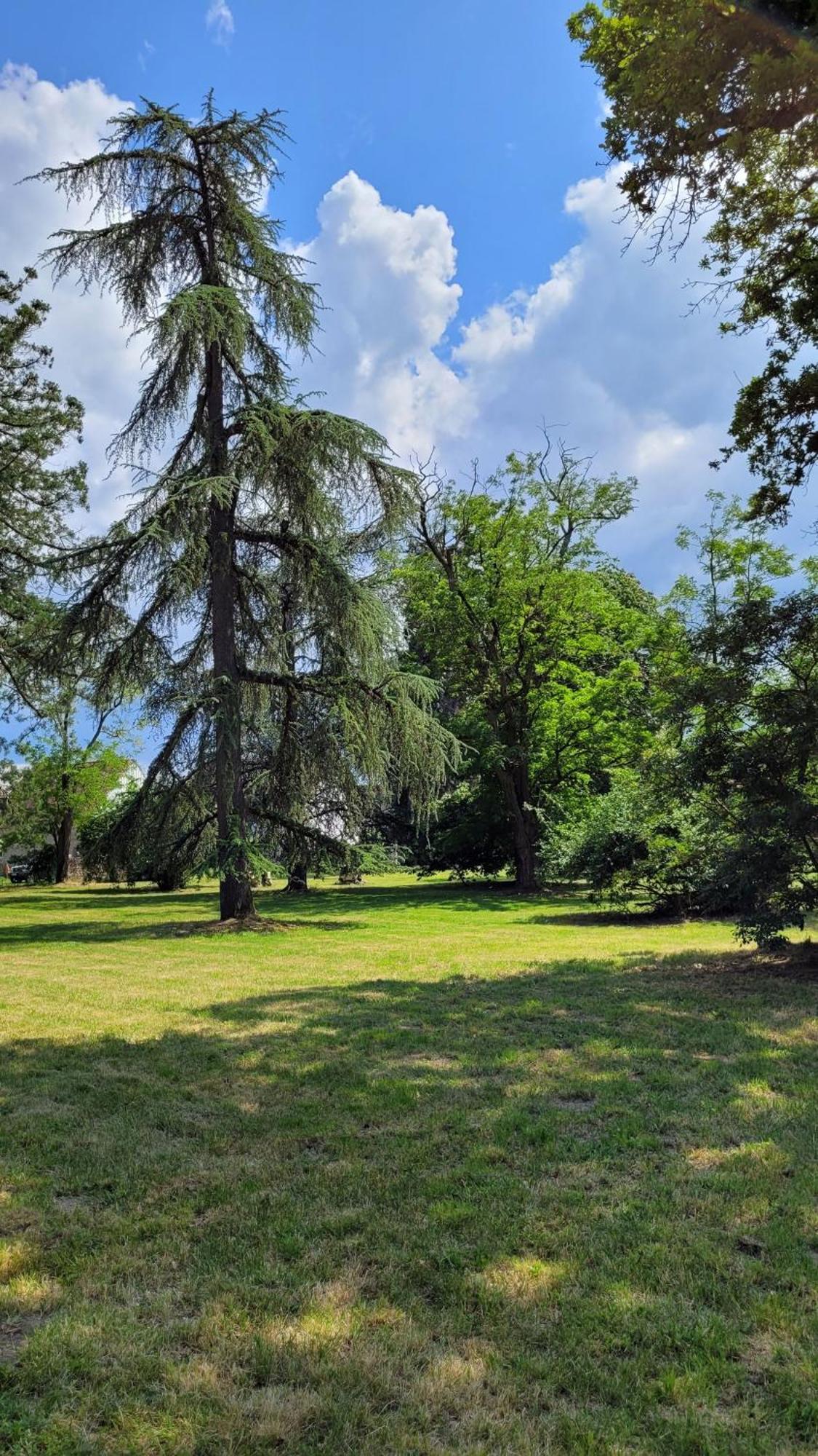 Villa Saint Pierre La Trimouille エクステリア 写真